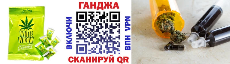 Купить где  Сычёвка  Canna-Cookies конопля 