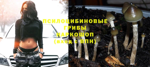 крисы Балахна