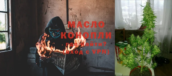 крисы Балахна