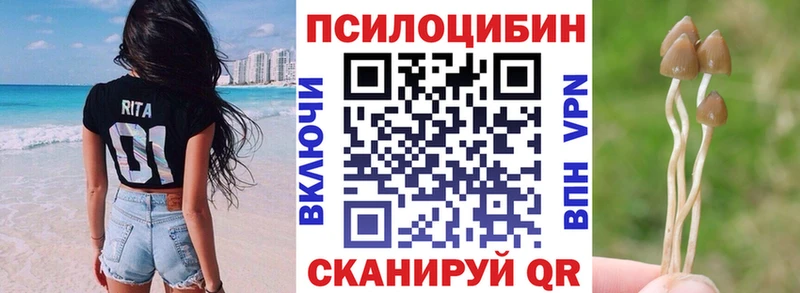 Купить где  Сычёвка  Галлюциногенные грибы прущие грибы 